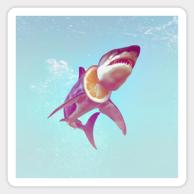 Lemon Shark Sticker by aligulec